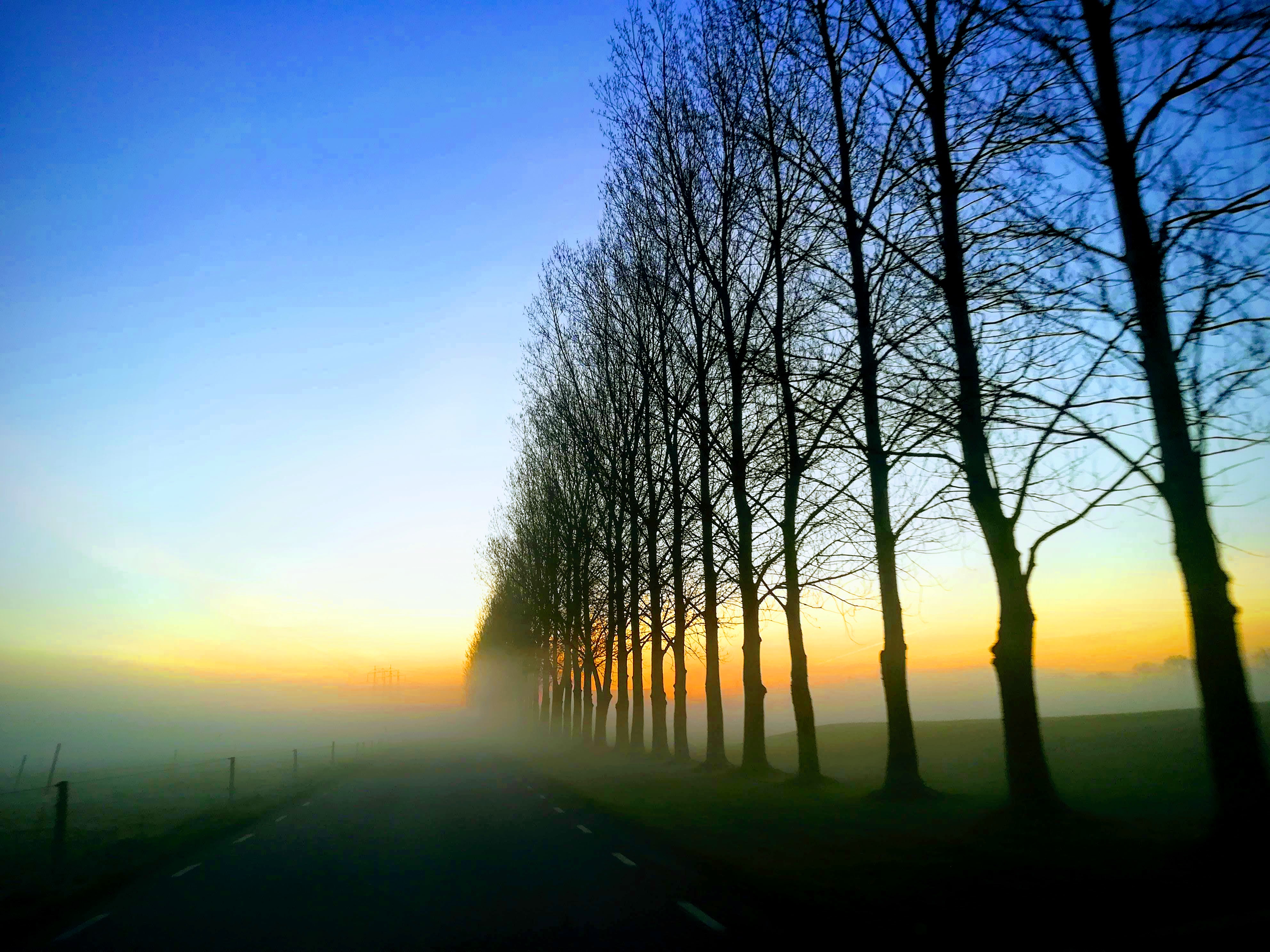 Allerum SpeedGolf Open 2020 - The Movie